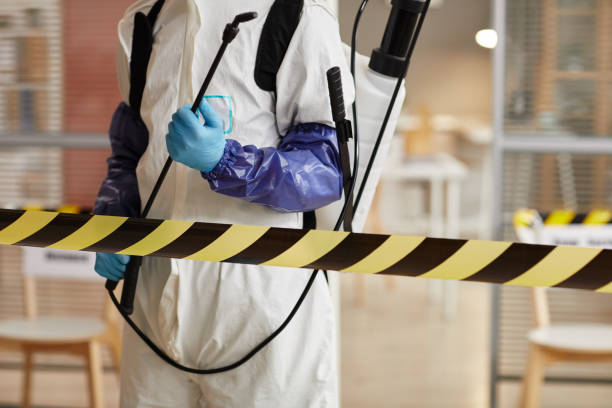 Professional Sewage Cleanup technician working in Roscoe, IL